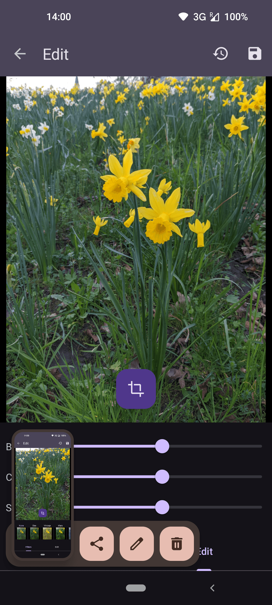 Скриншот 3 — Bunny Media Editor