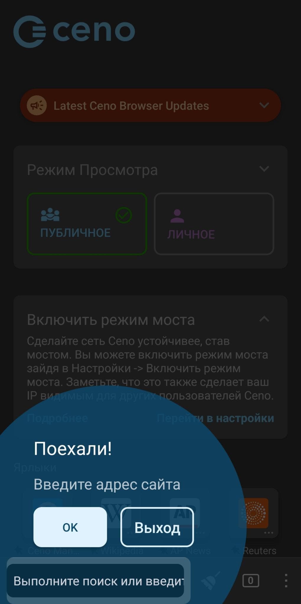 Скриншот 7 — Ceno Browser