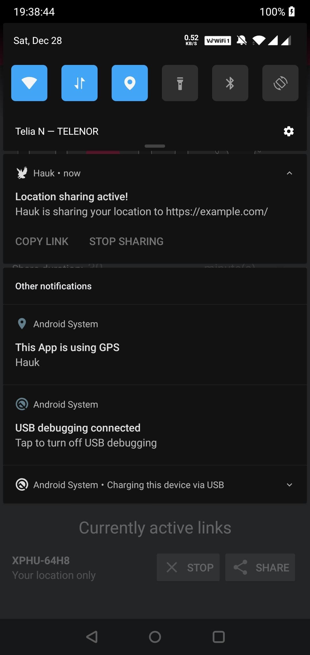Скриншот 4 — Hauk