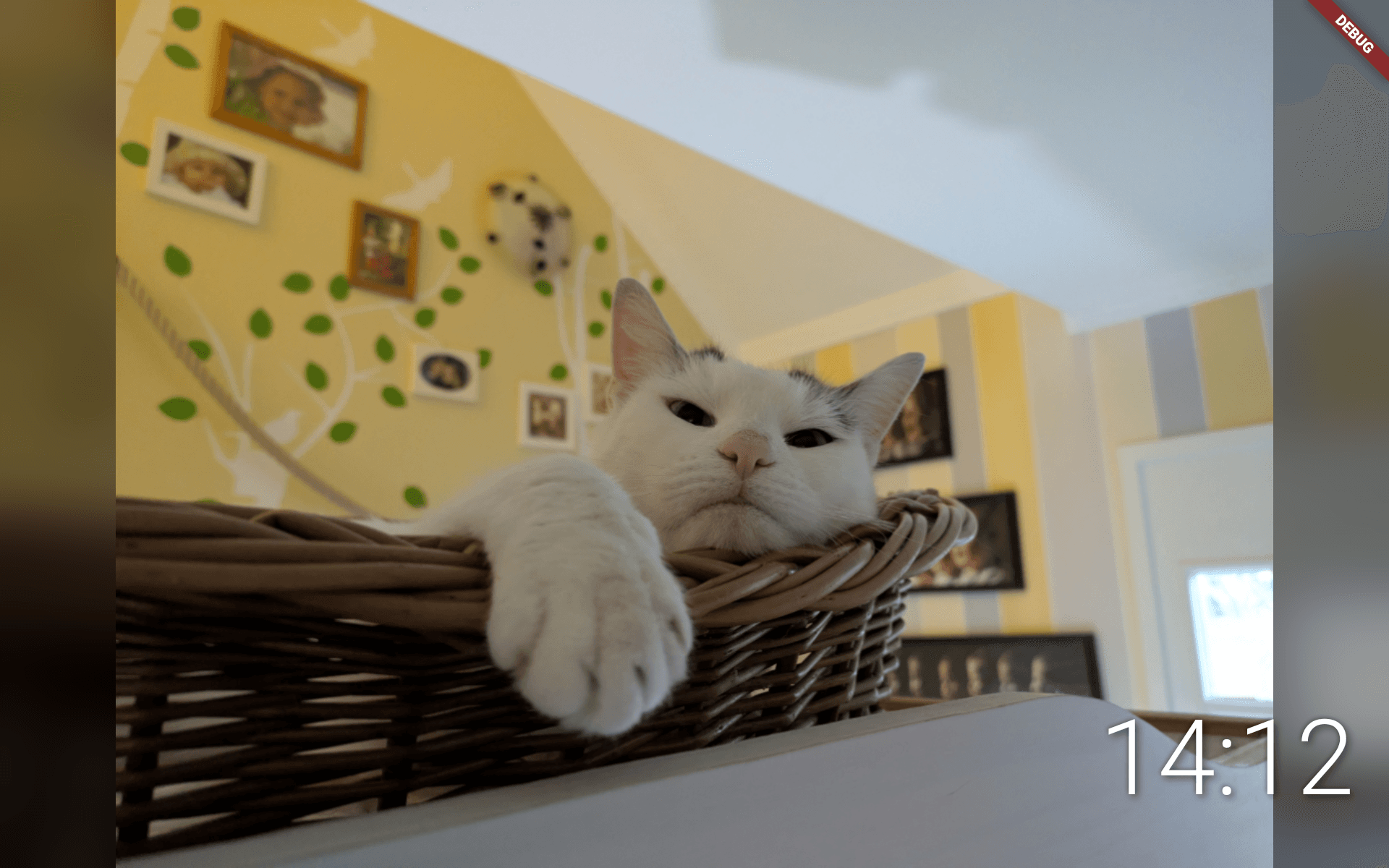 Скриншот 1 — OpenPhotoFrame