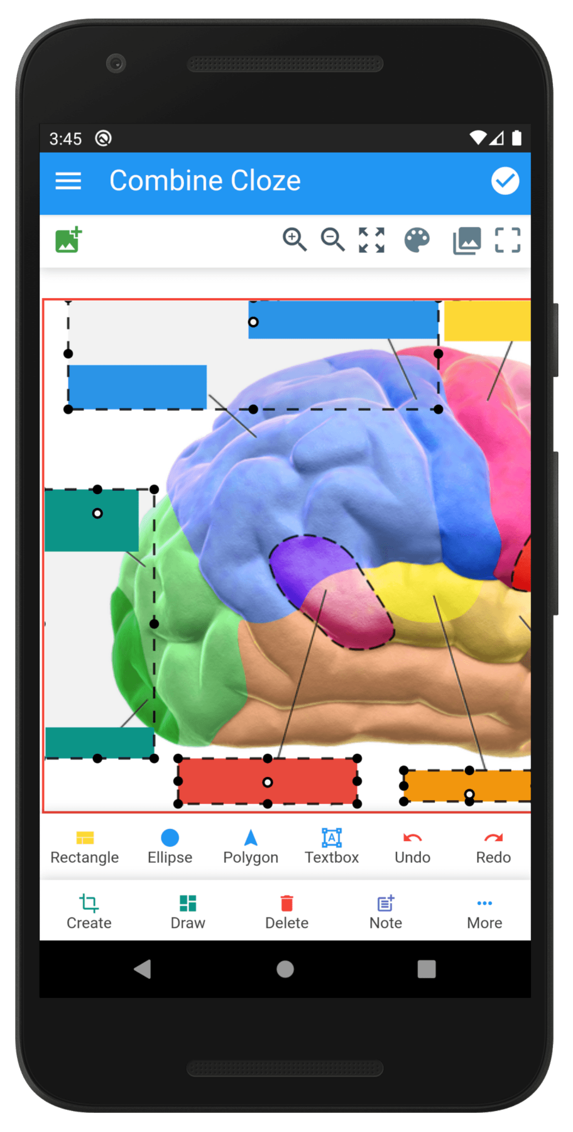 Скриншот 6 — Anki Image Occlusion