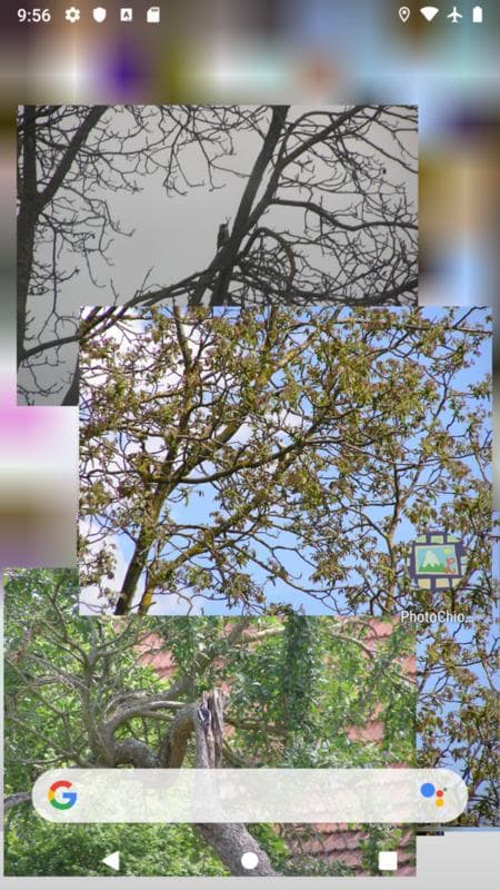 Скриншот 4 — PhotoChiotte