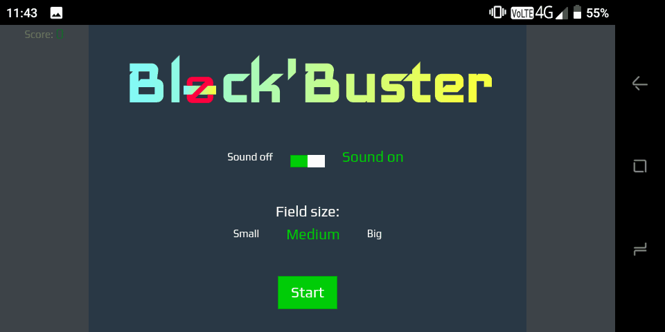 Скриншот 1 — Block'Buster