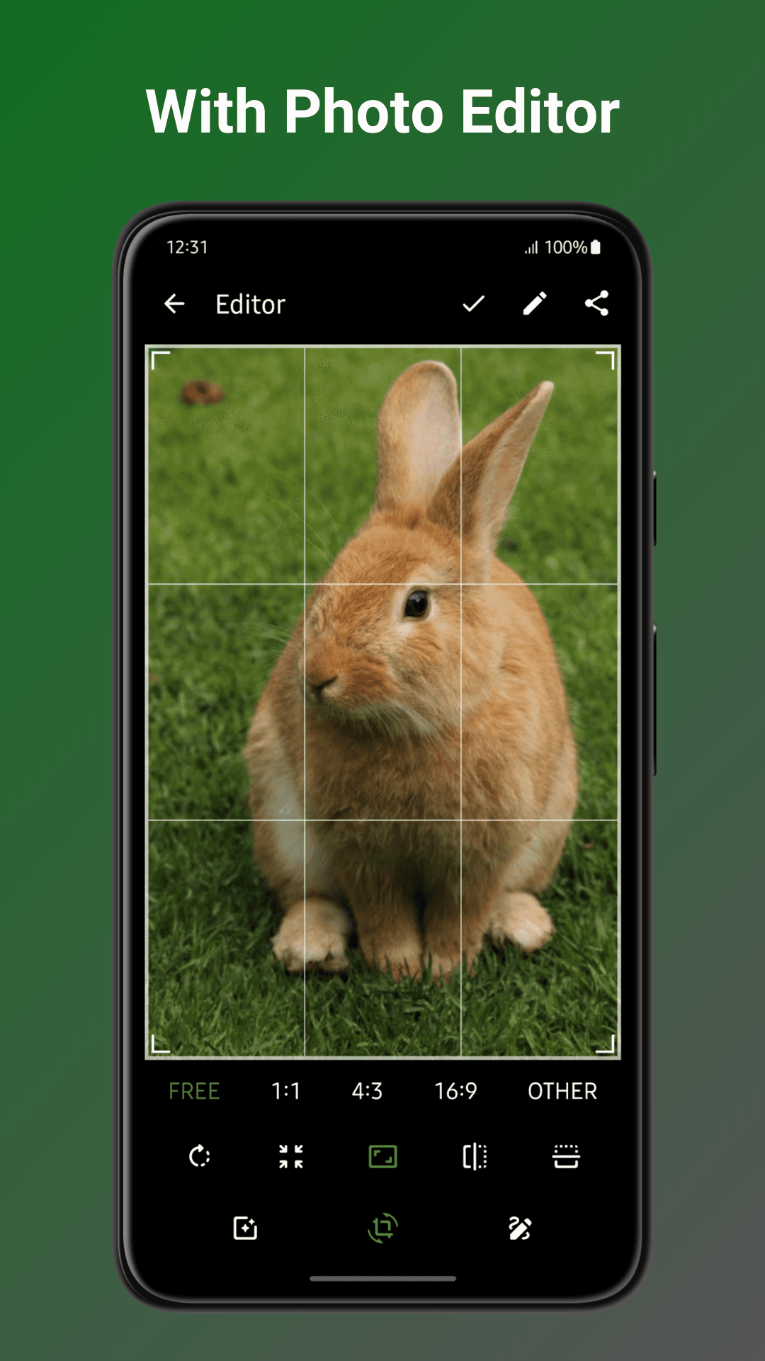 Скриншот 3 — Fossify Gallery