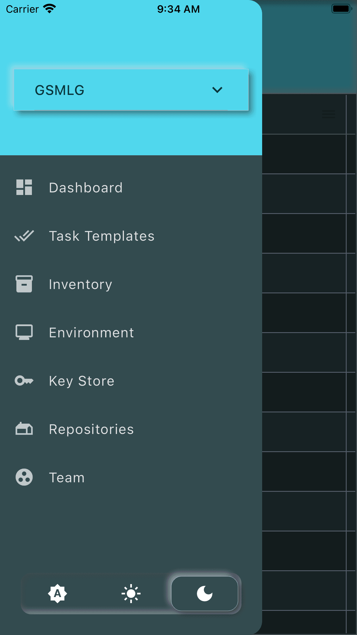 Скриншот 2 — Ansible Sempahore Client