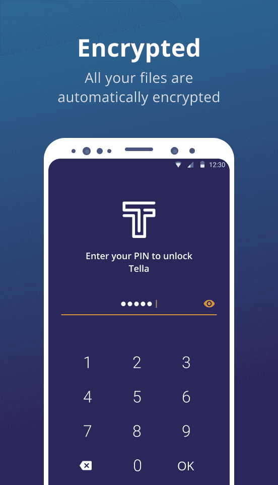 Скриншот 2 — Tella