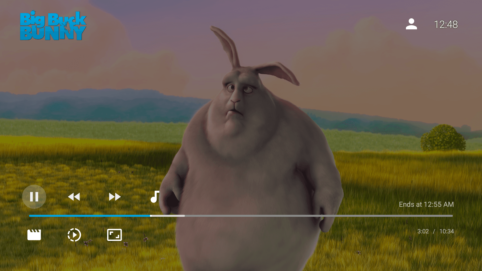 Скриншот 2 — Jellyfin для Android TV