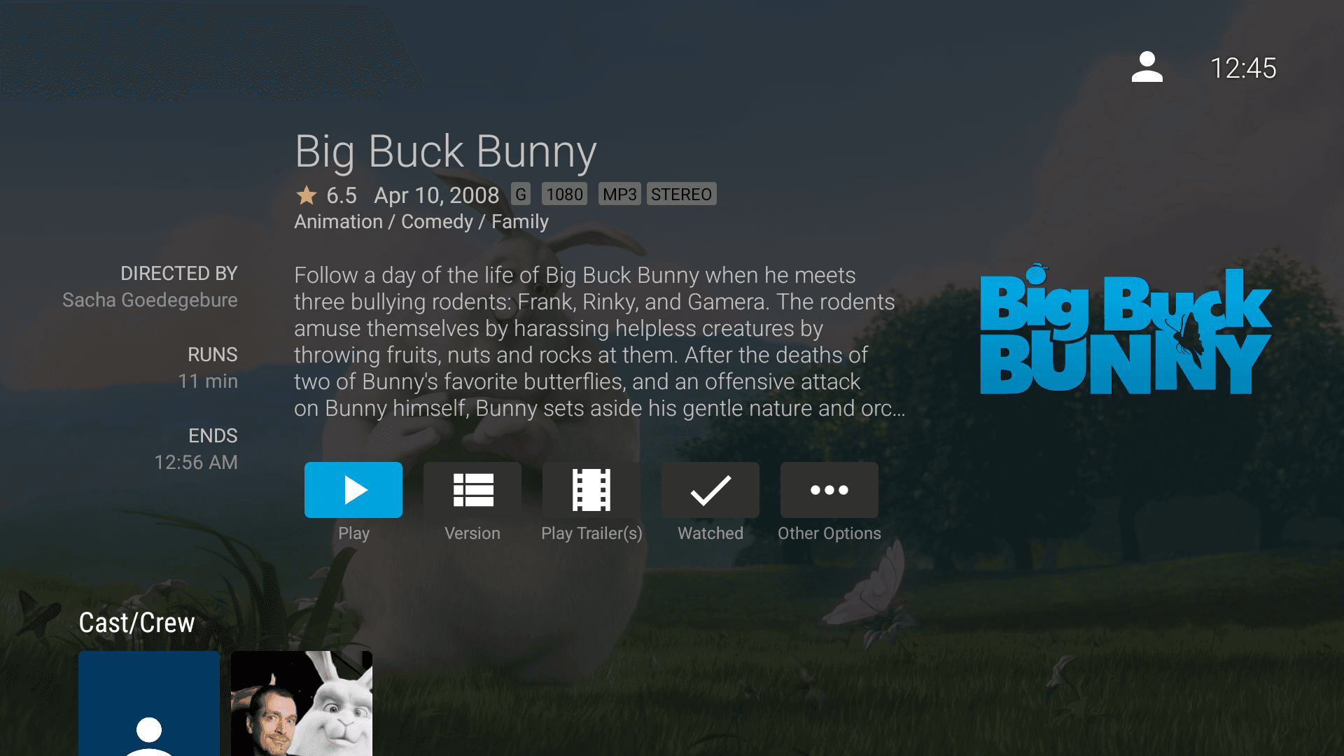 Скриншот 3 — Jellyfin для Android TV