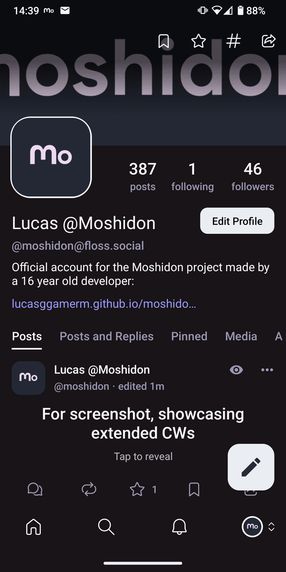 Скриншот 6 — Moshidon