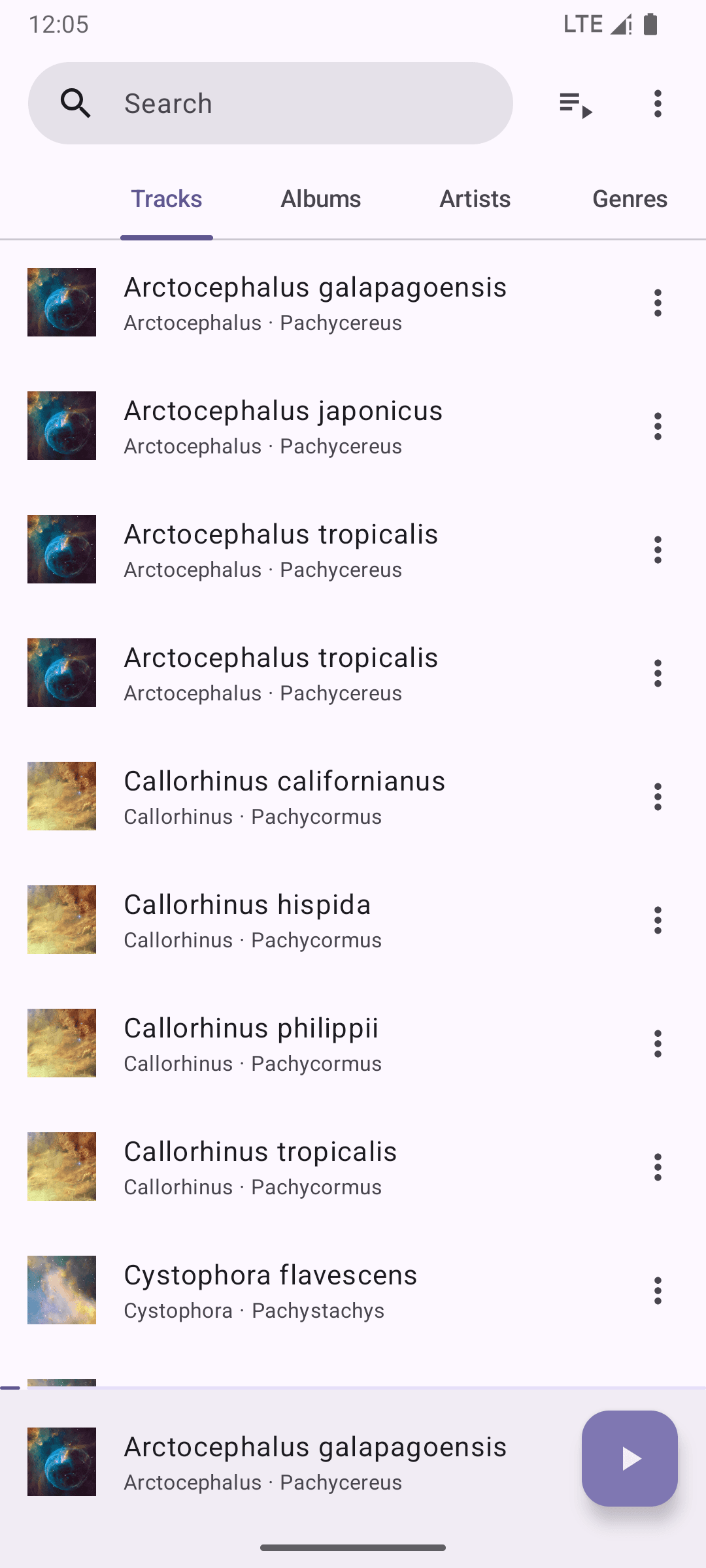 Скриншот 1 — Phocid