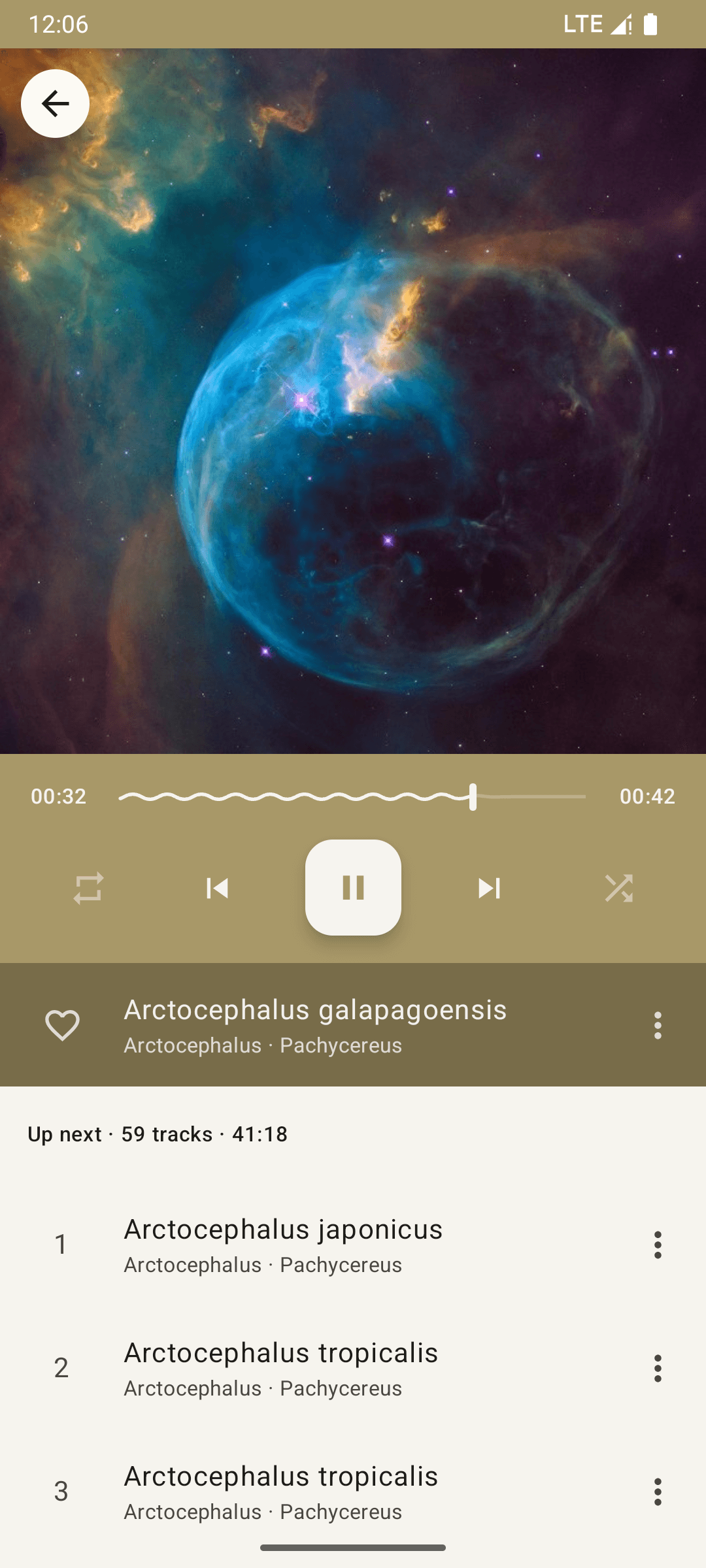 Скриншот 5 — Phocid