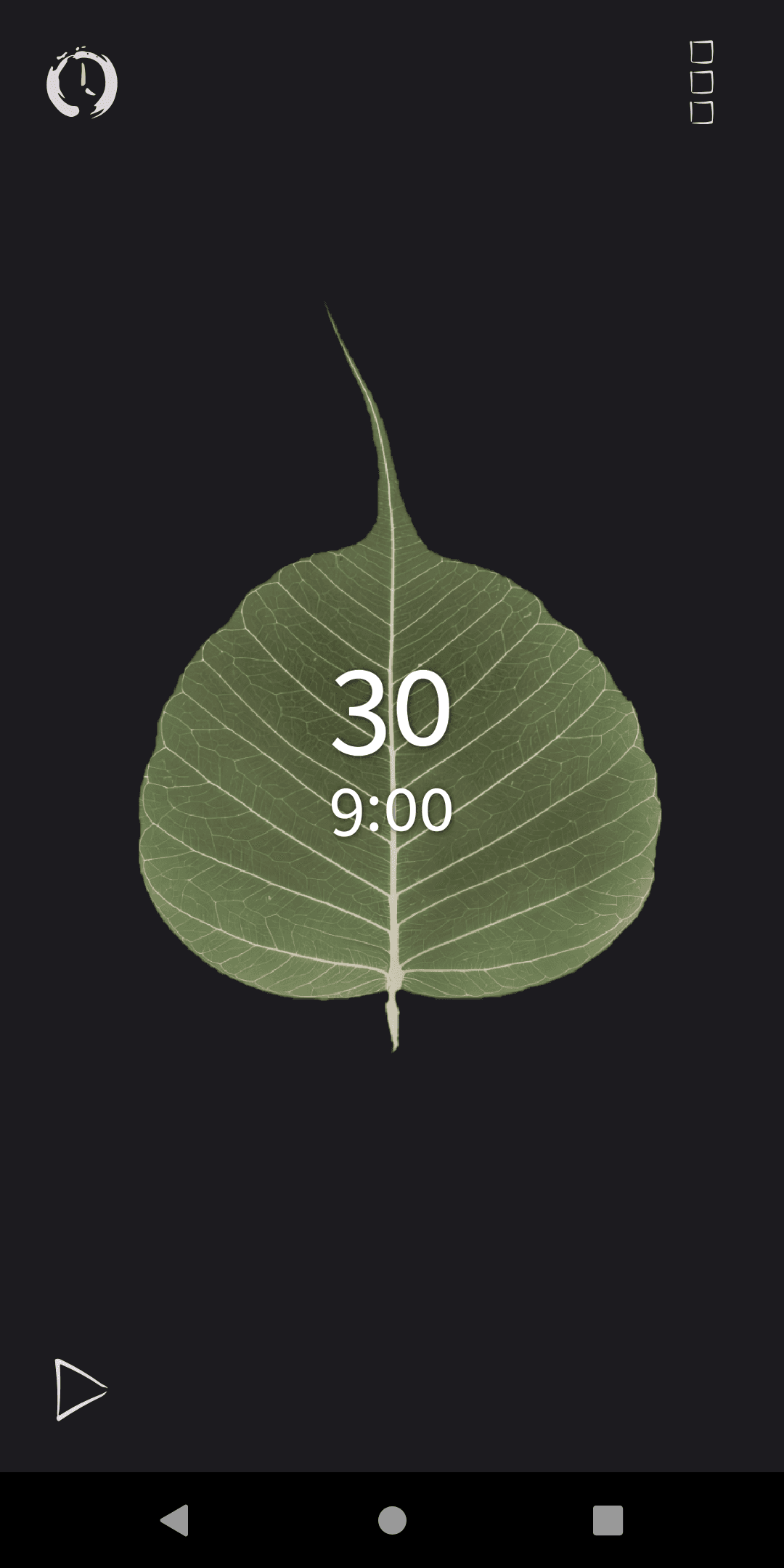 Скриншот 3 — Bodhi Timer