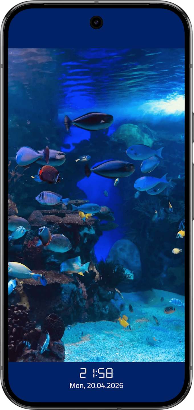 Скриншот 2 — Video Screensaver