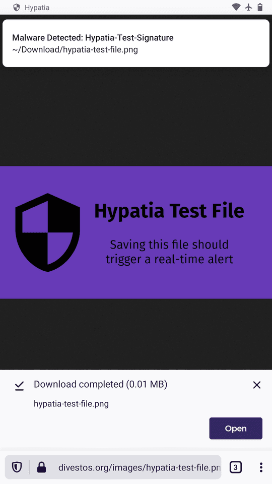 Скриншот 2 — Hypatia