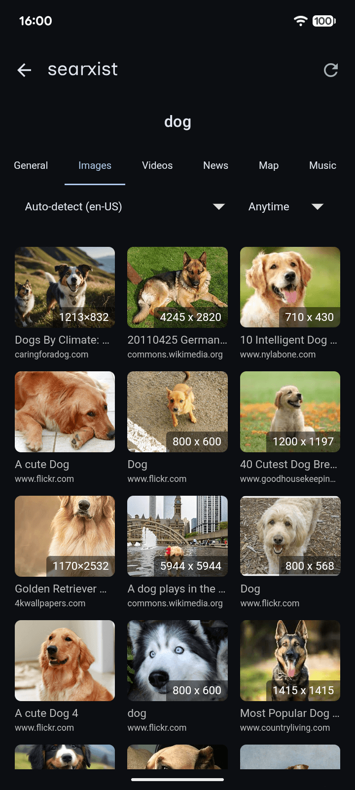 Скриншот 5 — searxist