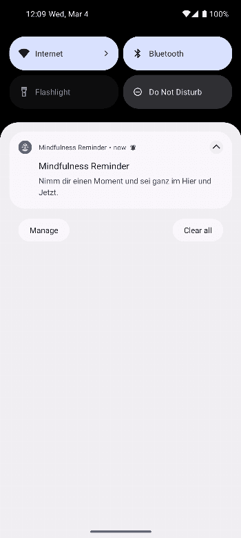 Скриншот 5 — Mindfulness Reminder